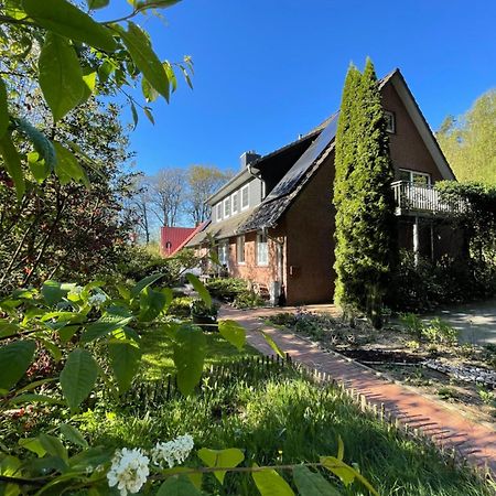 Loh Apartments - Wald.Natur.Ruhe. Undeloh Exteriér fotografie