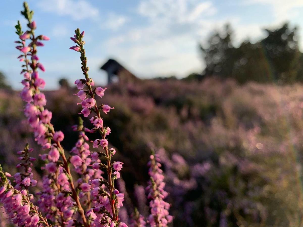 Loh Apartments - Wald.Natur.Ruhe. Undeloh Exteriér fotografie